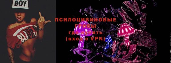 бошки Абдулино