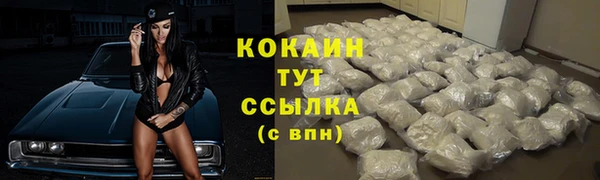 spice Алексин