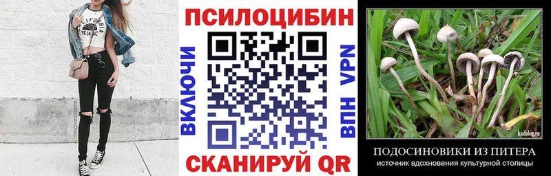 Галлюциногенные грибы мицелий Вилючинск
