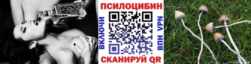 Галлюциногенные грибы прущие грибы Вилючинск