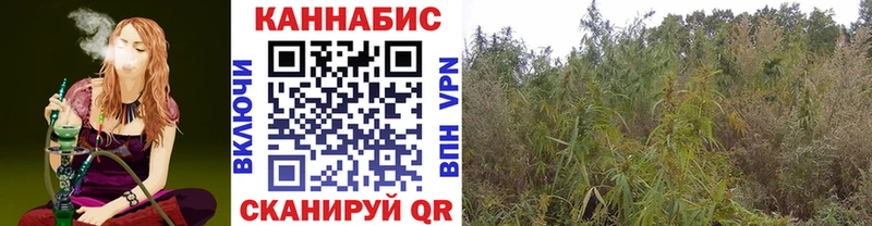 Бошки марихуана индика где купить наркоту Вилючинск